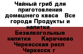 Чайный гриб для приготовления домашнего кваса - Все города Продукты и напитки » Безалкогольные напитки   . Карачаево-Черкесская респ.,Черкесск г.